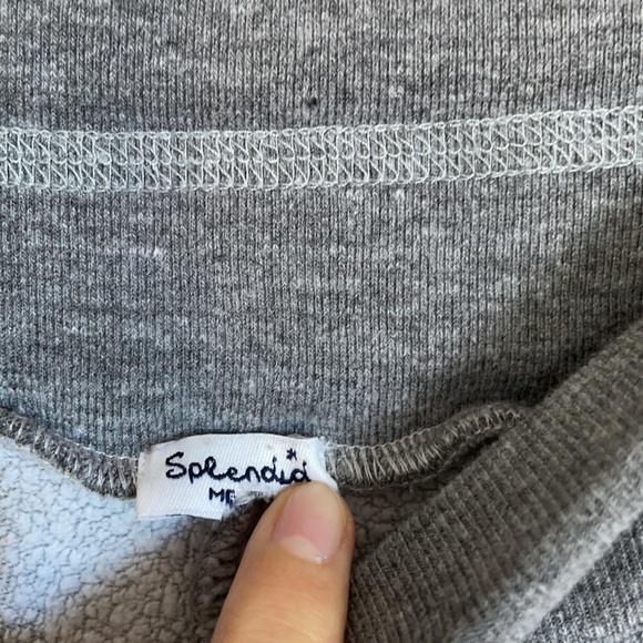 Splendid Jogger Gray Sweatpants - Picture 5 of 10